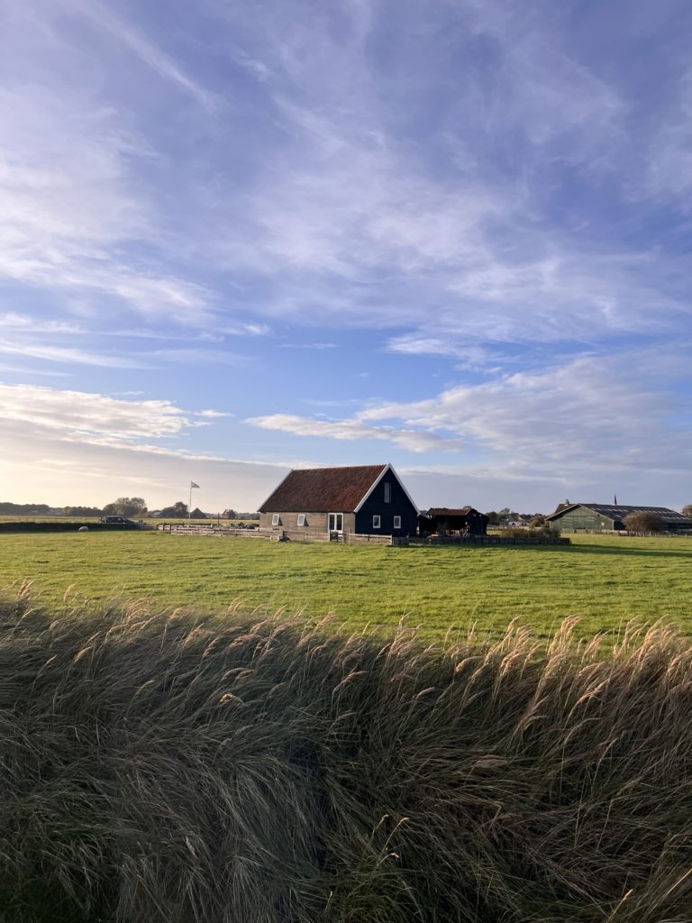 Ostrov Texel
