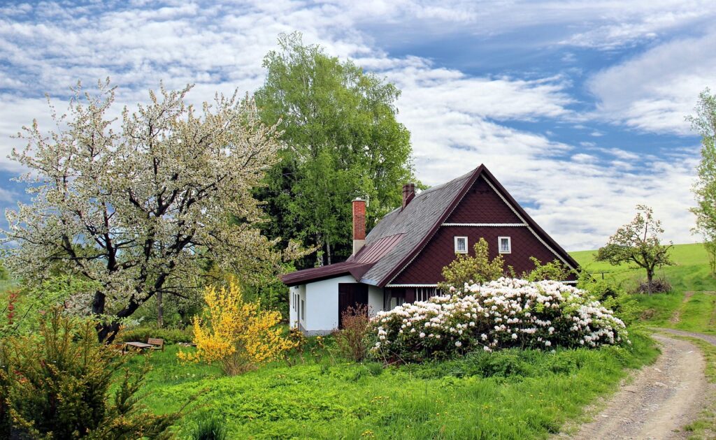 Co to je house sitting?